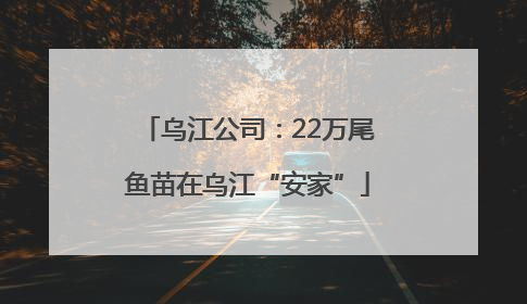 乌江公司：22万尾鱼苗在乌江“安家”
